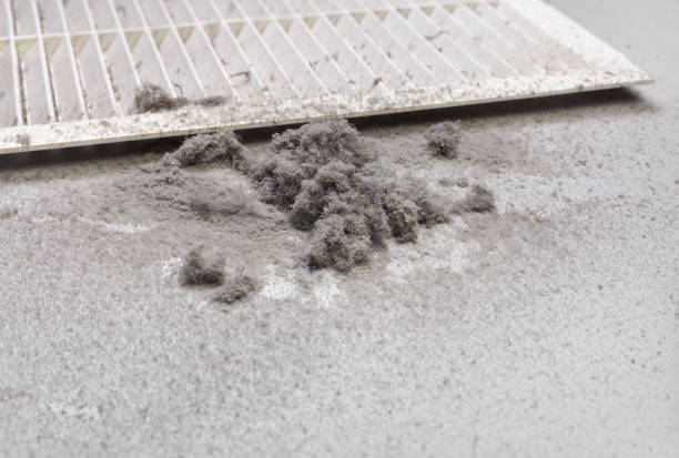 Best Air Duct Cleaning Near Me  in Durant, IA